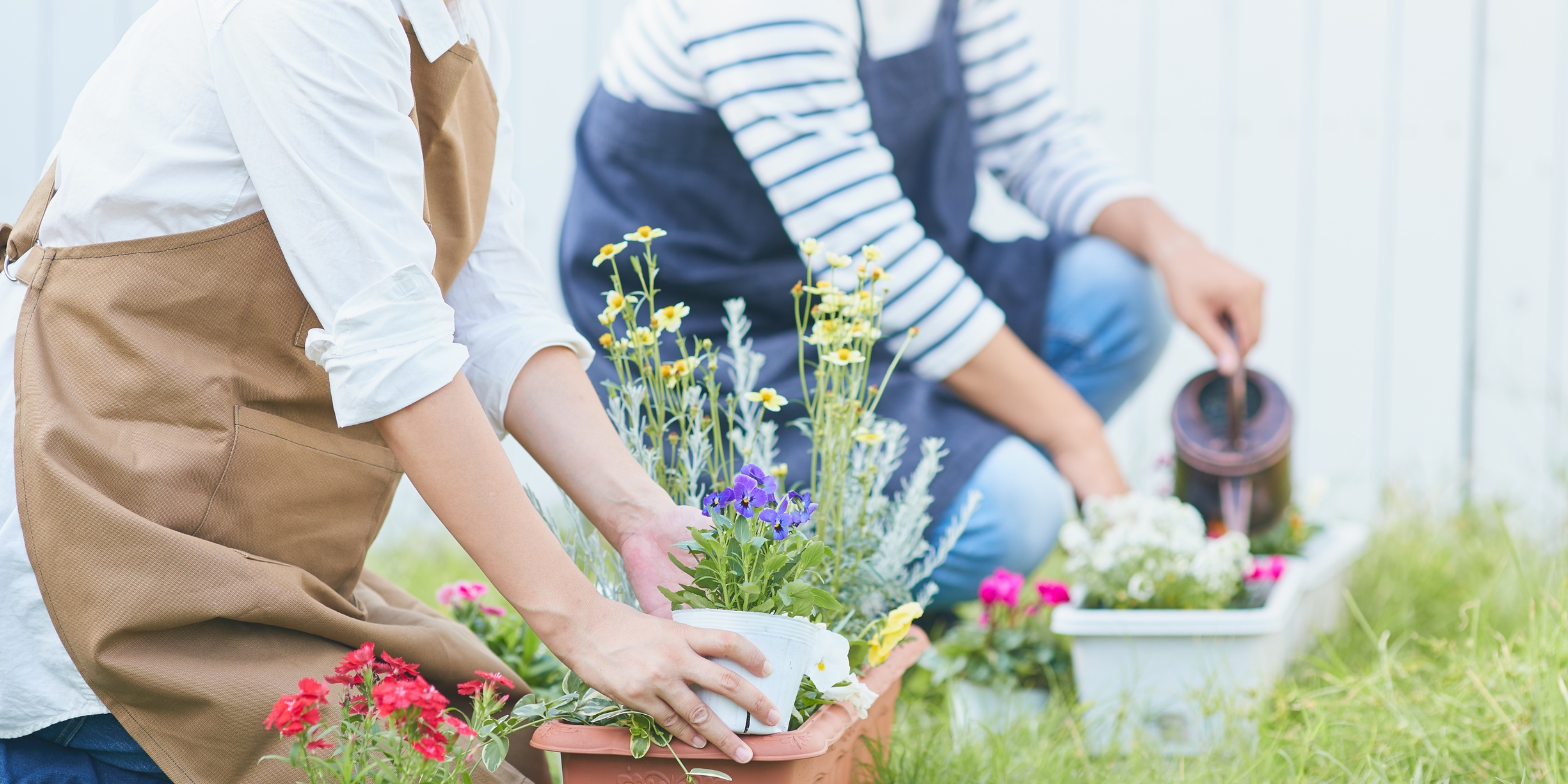 Two people gardening together, planting colorful spring flowers in outdoor planters, symbolizing cooperation and growth.