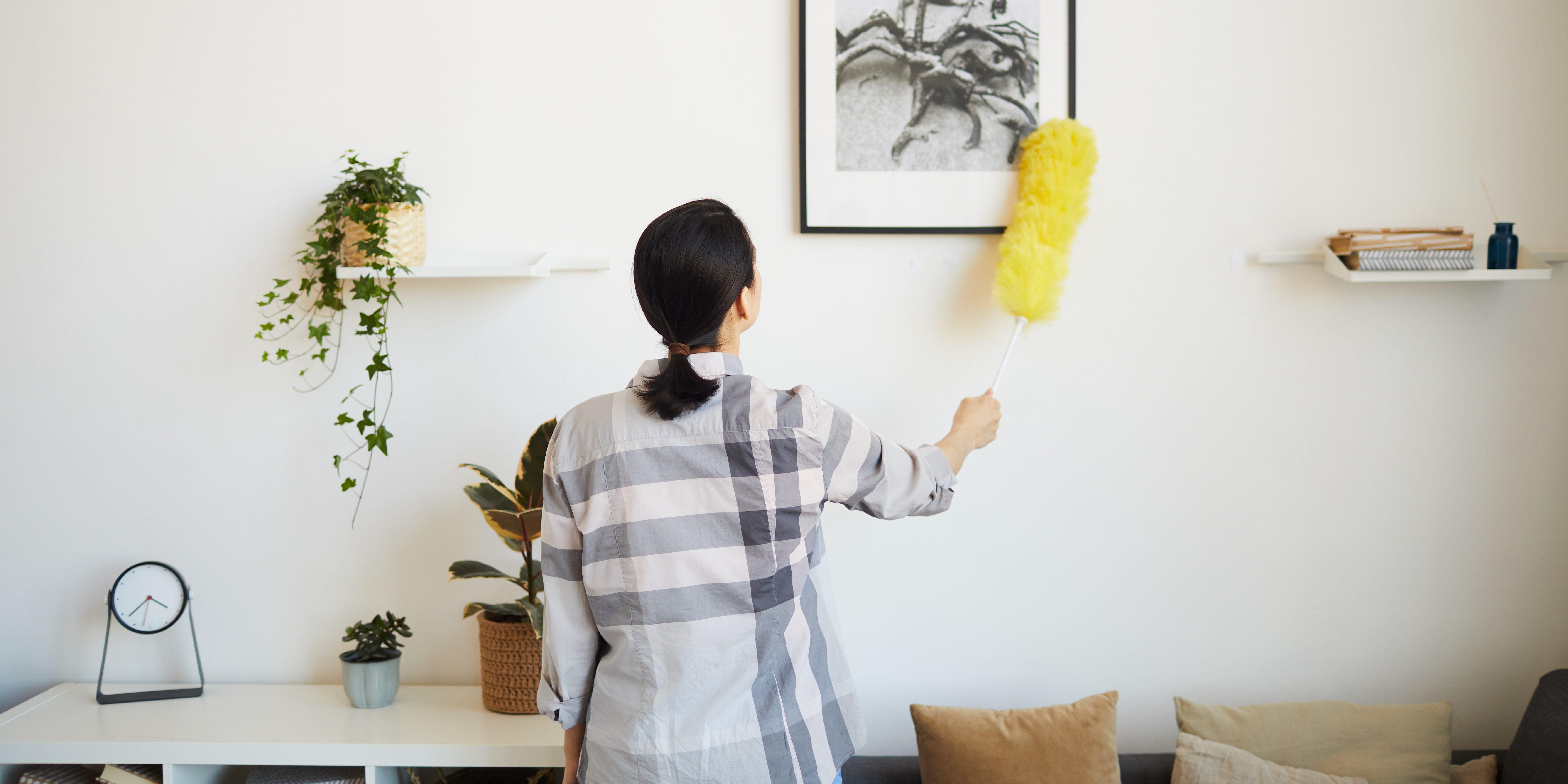 A person dusts a framed picture on the wall while cleaning a bright, organized living room.